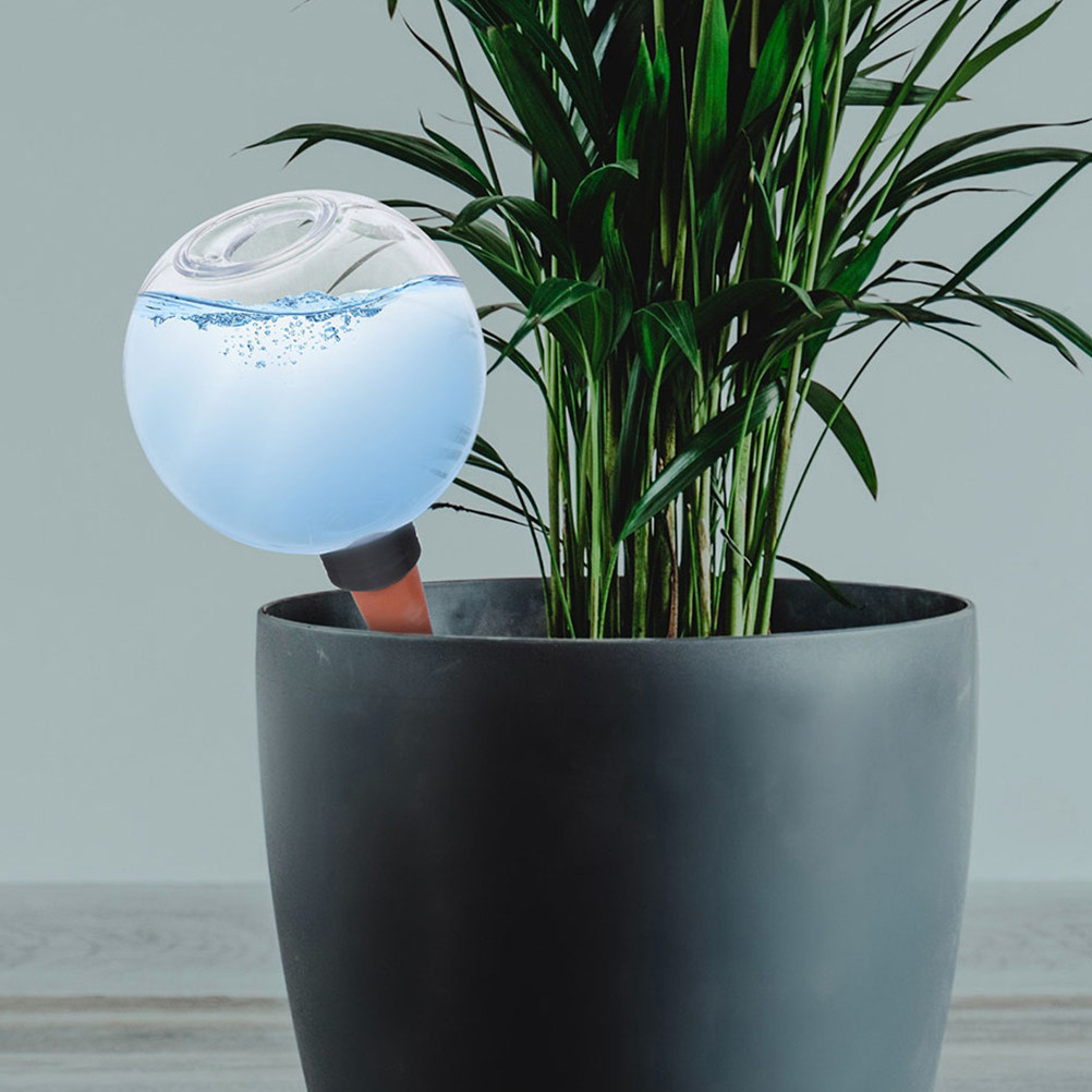3Pcs Watering Globes Automatic - Self Watering Insert review and price